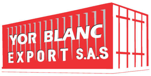 Nuevo Logo Yorblancexport sin fondo